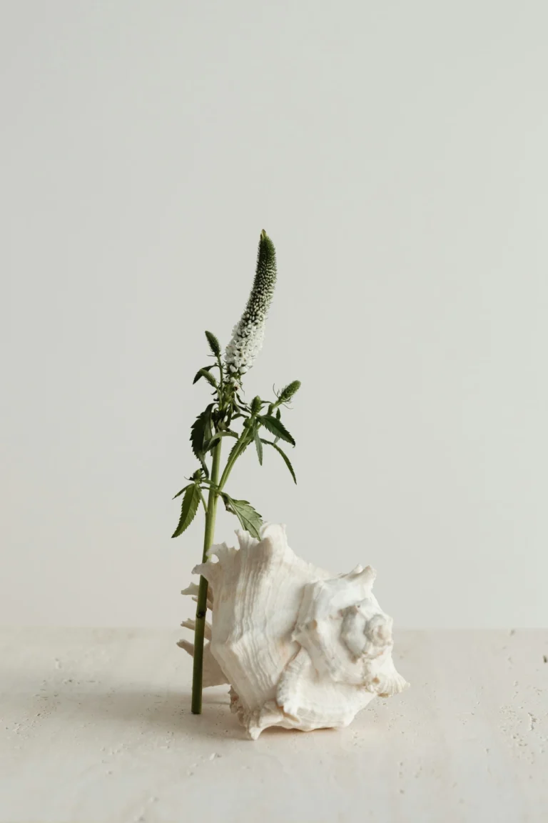 Notes on routine, focus, and creative energy