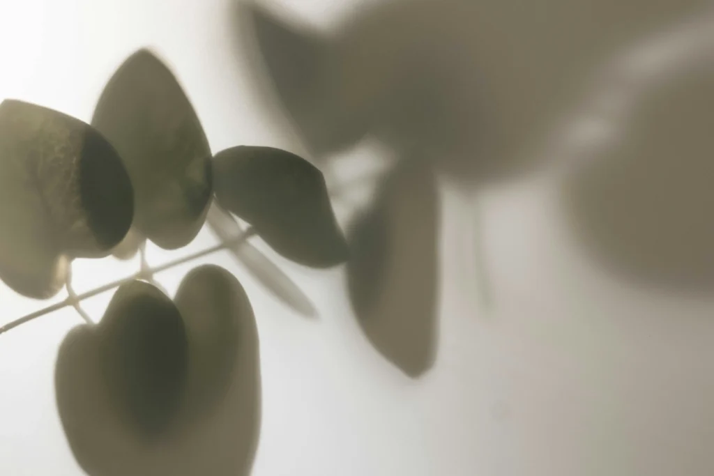 The value of slow, thoughtful design